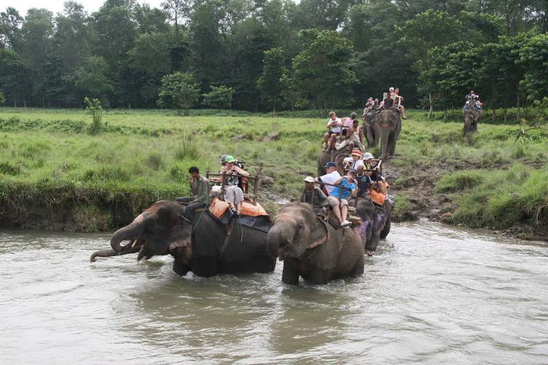 India & Nepal 2011 - 0553